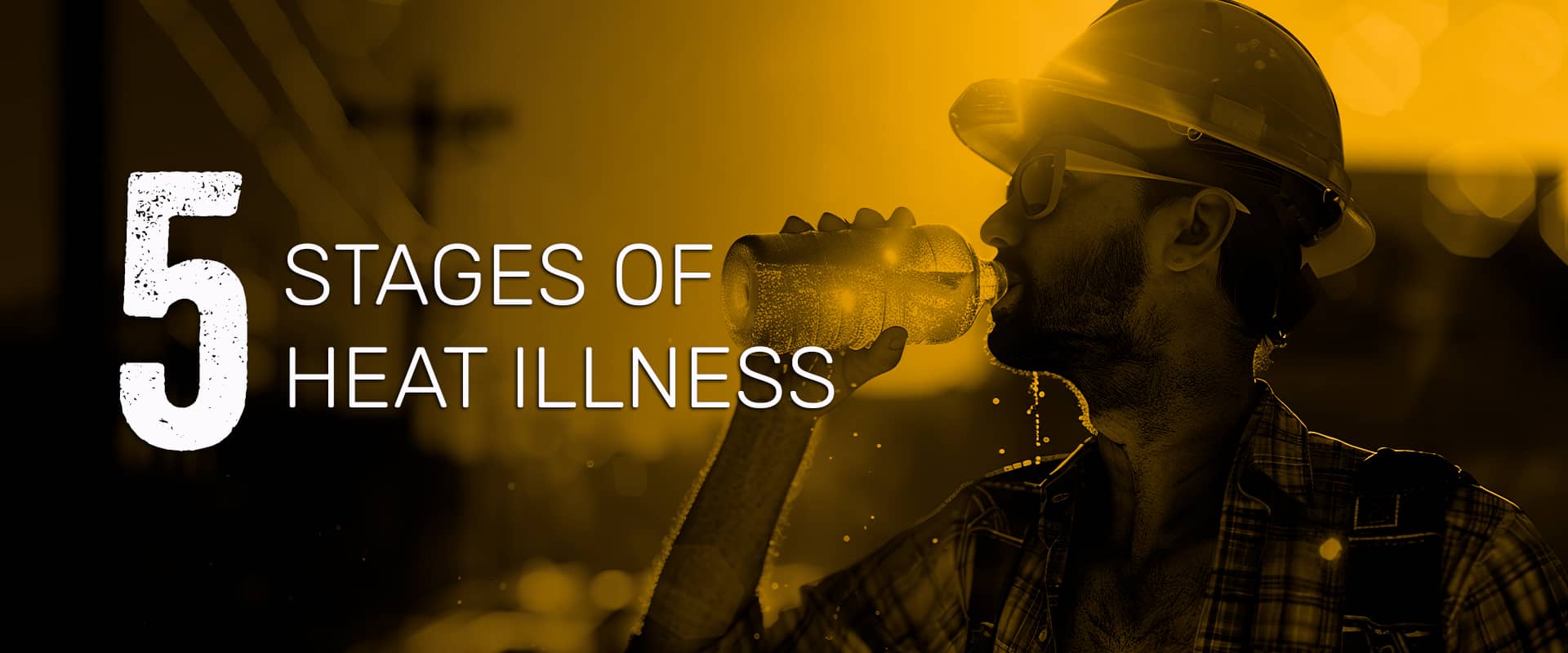 Heat Stress Image 2
